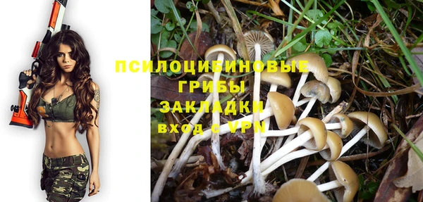 гашик Абинск