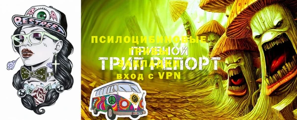 индика Абдулино