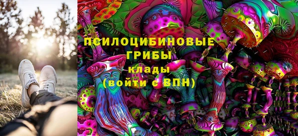 гашик Абинск