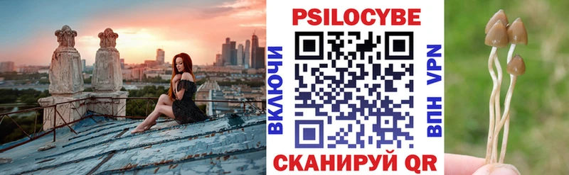 наркота  Кириллов  кракен зеркало  Галлюциногенные грибы Psilocybe 