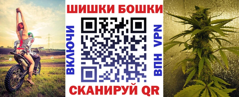 купить   Кириллов  гидра сайт  Канабис конопля 